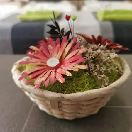 Smart Szallas 米什科尔茨